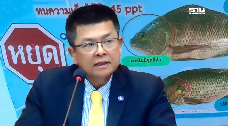 กรมประมงยืนยัน ปลานิล vs ปลาหมอคางดำ ไม่ผสมข้ามสายพันธุ์กัน