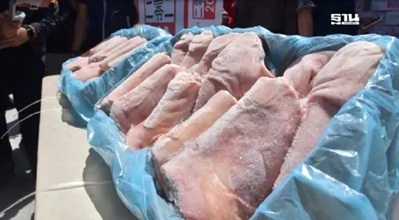 อย่าทำหมูเถื่อน ให้เป็นหมูถูก(กฎหมาย) ทุบความมั่นคงอาหารไทย อย่าทำหมูเถื่อน ให้เป็นหมูถูก(กฎหมาย) ทุบความมั่นคงอาหารไทย