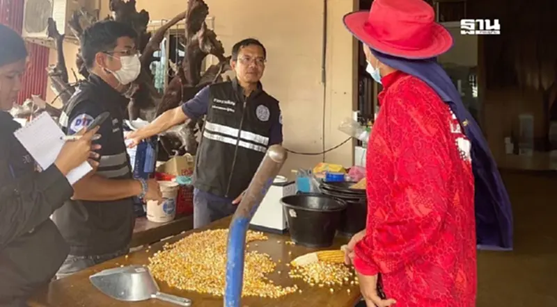 "พาณิชย์" ตรวจเข้มราคาข้าวโพดเลี้ยงสัตว์ สกัดกดราคาเกษตรกร "พาณิชย์" ตรวจเข้มราคาข้าวโพดเลี้ยงสัตว์ สกัดกดราคาเกษตรกร