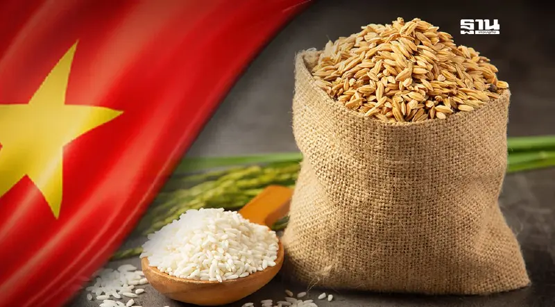 เปิดกลยุทธ์เวียดนาม ปฏิวัติวงการส่งออกข้าว