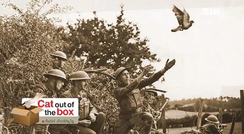 Cher Ami พิราบเพื่อนรัก Cher Ami พิราบเพื่อนรัก