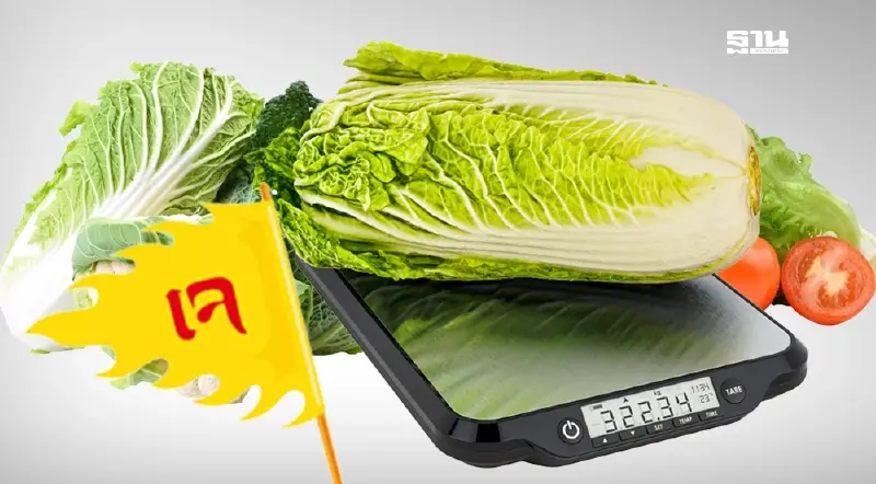 กินเจ 2567 ผักสดราคากิโลละเท่าไหร่ เช็คที่นี้