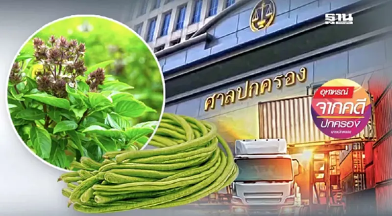 ถูกสั่งพักใช้ใบรับรองมาตรฐานโรงงานเหตุพบสารต้องห้ามในผัก! ถูกสั่งพักใช้ใบรับรองมาตรฐานโรงงานเหตุพบสารต้องห้ามในผัก!