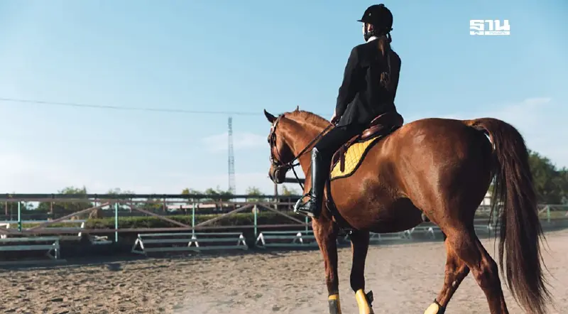 กาสิโนถูกกฎหมายปั่นที่ดิน “หนองจอก” พุ่ง 4 เท่า รับสร้างสนามม้าแห่งใหม่