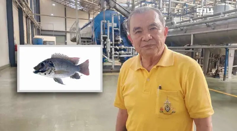 ซีพีเอฟ ซื้อปลาหมอคางดำ ป้อน รง.ปลาป่น กว่า 1 ล้าน กก. ยันเดินหน้าต่อเนื่อง