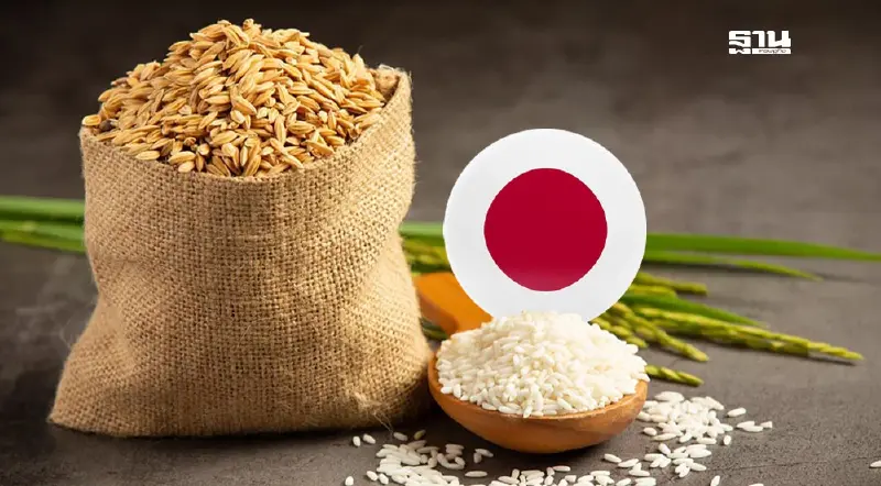 วิกฤตข้าวญี่ปุ่น ราคาพุ่ง กระทบโรงงานขนม-ร้านอาหาร ดิ้นนำเข้าตปท.