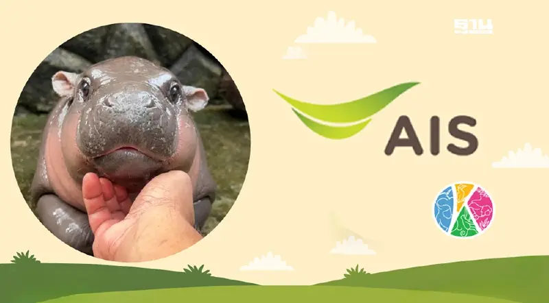 หมูเด้ง ฟีเวอร์! AIS เผยยอดการแลกรับส่วนลดเข้าชมโตพุ่ง 400% หมูเด้ง ฟีเวอร์! AIS เผยยอดการแลกรับส่วนลดเข้าชมโตพุ่ง 400%