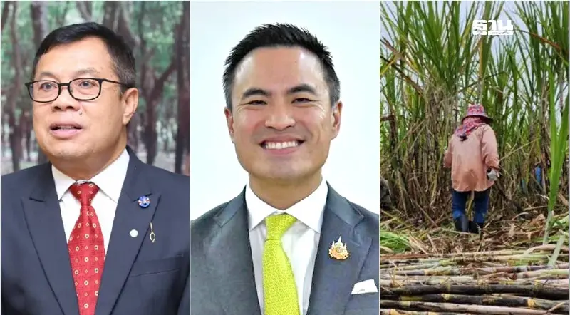 ชาวไร่อ้อย นัด 23 ก.ย. ทวงถามค่าตัดอ้อยสด ตันละ 120 บาท ชาวไร่อ้อย นัด 23 ก.ย. ทวงถามค่าตัดอ้อยสด ตันละ 120 บาท