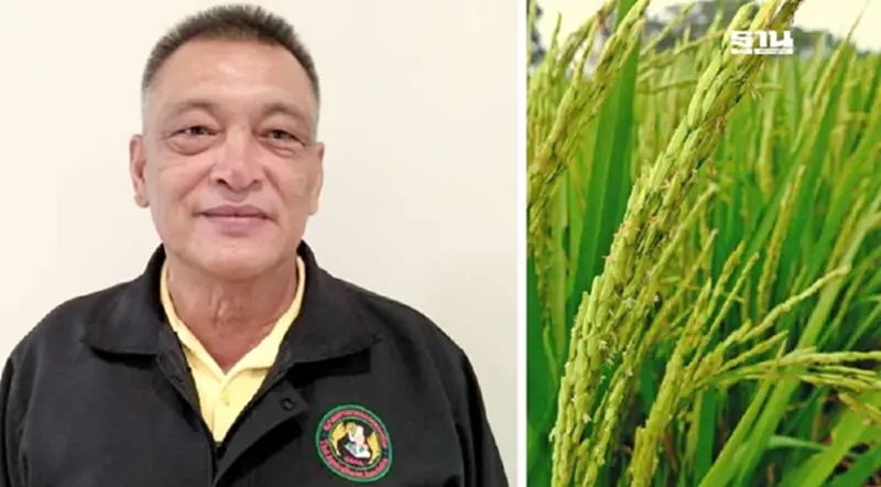 จี้รัฐบาลใหม่ยกระดับชาวนา หนุนพันธุ์ข้าวผลผลิตสูง ปูพรมแหล่งน้ำ บำนาญ 3 พัน จี้รัฐบาลใหม่ยกระดับชาวนา หนุนพันธุ์ข้าวผลผลิตสูง ปูพรมแหล่งน้ำ บำนาญ 3 พัน