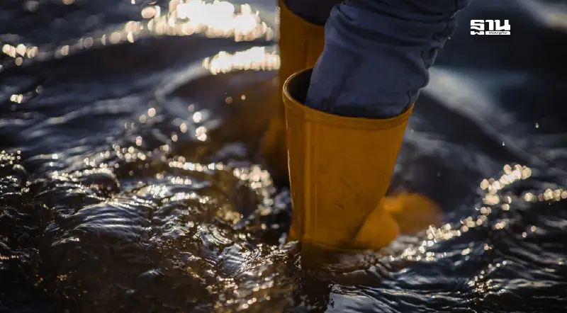 ระวัง "โรคที่มากับน้ำท่วม" เตรียมพร้อมป้องกันเชื้อ-หนอนพยาธิ เข้าร่างกาย ระวัง "โรคที่มากับน้ำท่วม" เตรียมพร้อมป้องกันเชื้อ-หนอนพยาธิ เข้าร่างกาย