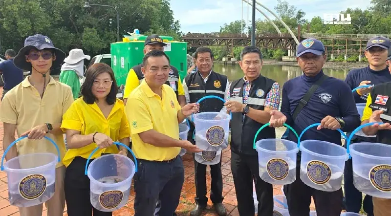 ซีพีเอฟ หนุนกรมประมง ลุยล่าปลาหมอคางดำจับได้ 1.3 ล้าน กิโลฯ