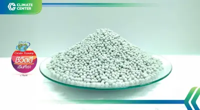 ธุรกิจ BCG มาแรง เอกชนตื่น รับภาวะโลกร้อน