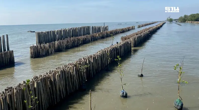 "ชัชชาติ" ชงรัฐบาลแพทองธาร สร้างเขื่อนป้องกัน น้ำเซาะชายทะเลบางขุนเทียน