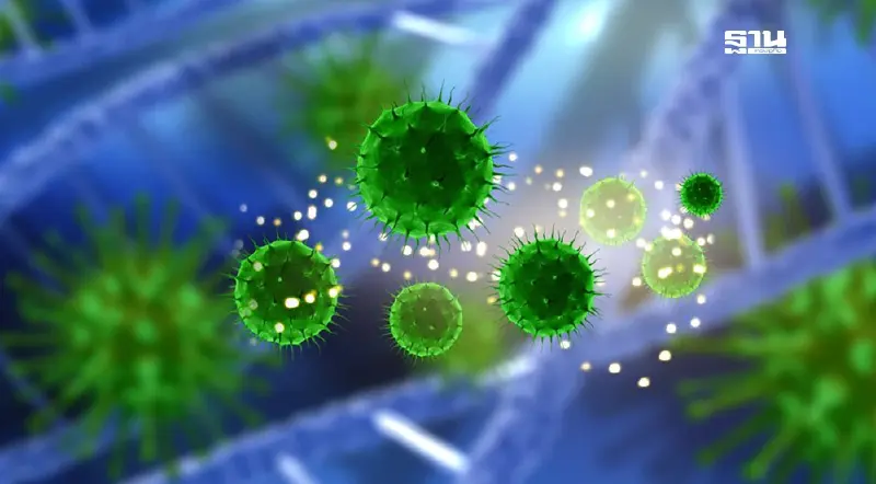 จับตา โอมิครอน KP.2.3/XEC ลูกผสมพันธุ์ใหม่ แพร่เร็วกว่าเดิม 2 เท่า