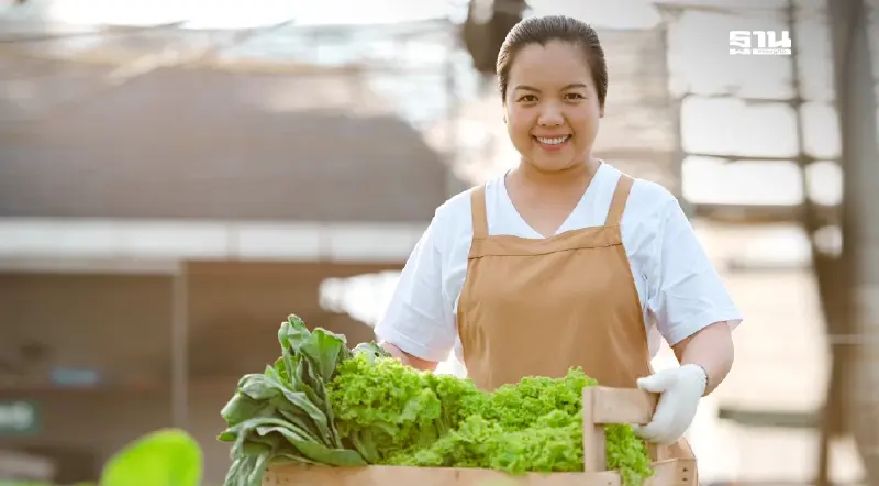 อาชีพอิสระ ม.40 รับสิทธิคุ้มครอง กรณีทุพพลภาพ