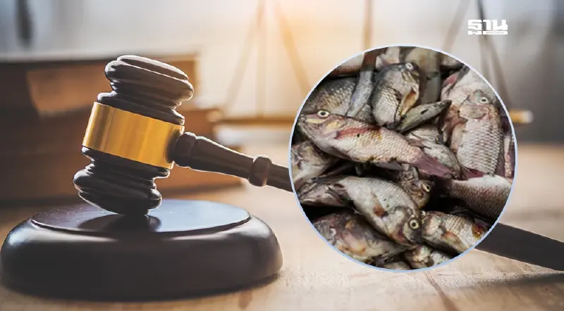 ฟ้องค่าเสียหาย “ปลาหมอคางดำ” 2,400 ล้านส่อยื้อ-ประกาศเขตภัยพิบัติงานยาก