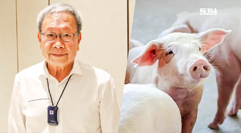 สมาคมหมู ตอบข้อสงสัย รมว.พาณิชย์ เหตุหมูบราซิลราคาถูกกว่าไทย