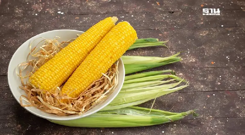 จัดหนัก 5 มาตรการอุ้มเกษตรกรปลูก "ข้าวโพดเลี้ยงสัตว์" ชงครม.ของบ 320 ล้าน