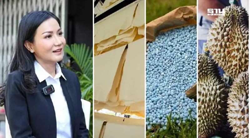 กระทรวงเกษตรฯ เตรียมชง 4 ภาระกิจงานเร่งด่วน ให้รัฐมนตรีคนใหม่ กระทรวงเกษตรฯ เตรียมชง 4 ภาระกิจงานเร่งด่วน ให้รัฐมนตรีคนใหม่