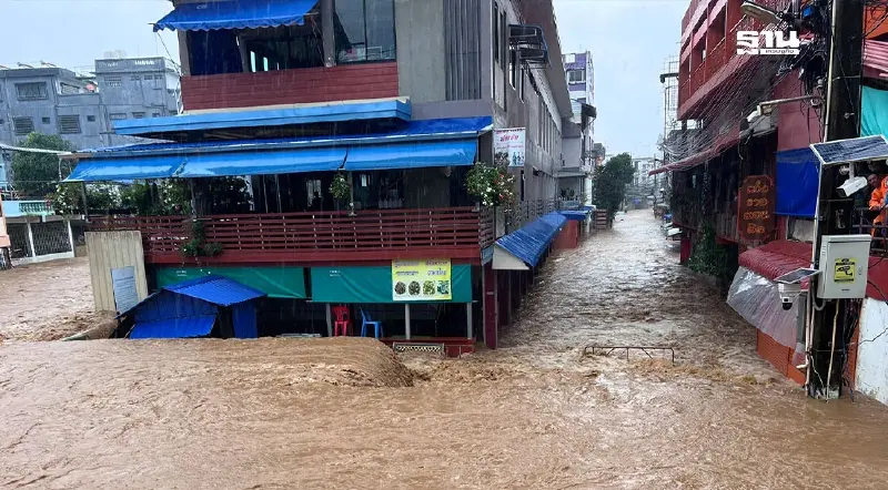 พายุยางิพ่นพิษ เชียงรายฝนตกหนัก น้ำท่วมแม่สายตลาดสายลมจอย
