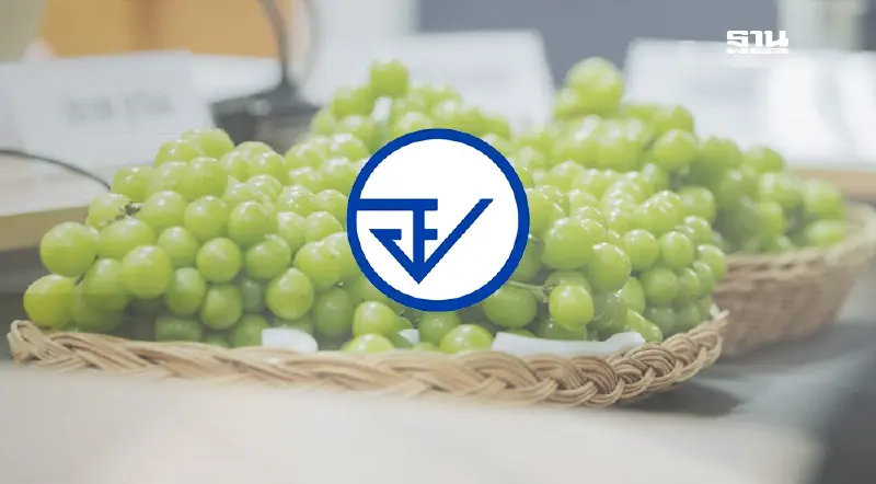 อย. การันตี องุ่นไชน์มัสแคท มีสารตกค้างไม่เกินเกณฑ์ความปลอดภัย