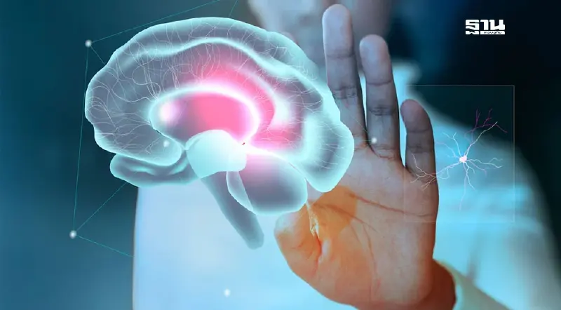 29 ตุลาคม วันโรคหลอดเลือดสมอง เช็คอาการ สัญญาณเตือน