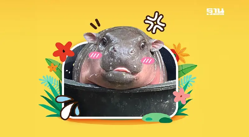 ช้อปปี้ เกาะกระแสดัง “หมูเด้ง” เปิดไลฟ์สดเรียลไทม์บน Shopee Live ช้อปปี้ เกาะกระแสดัง “หมูเด้ง” เปิดไลฟ์สดเรียลไทม์บน Shopee Live