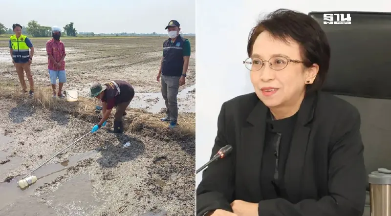 สรุปผลงานคพ.ปีงบ 67 ปชช.ร้องเรียนมลพิษกว่า 1,000 เรื่อง พึงพอใจแก้ปัญหา90%