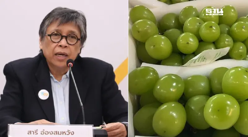 สภาผู้บริโภคจี้อย.ดำเนินคดีผู้นำเข้า“องุ่นไชน์มัสแคท”มีสารอันตราย