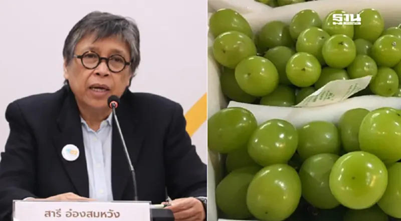 สภาผู้บริโภคจี้อย.ดำเนินคดีผู้นำเข้า“องุ่นไชน์มัสแคท”มีสารอันตราย สภาผู้บริโภคจี้อย.ดำเนินคดีผู้นำเข้า“องุ่นไชน์มัสแคท”มีสารอันตราย