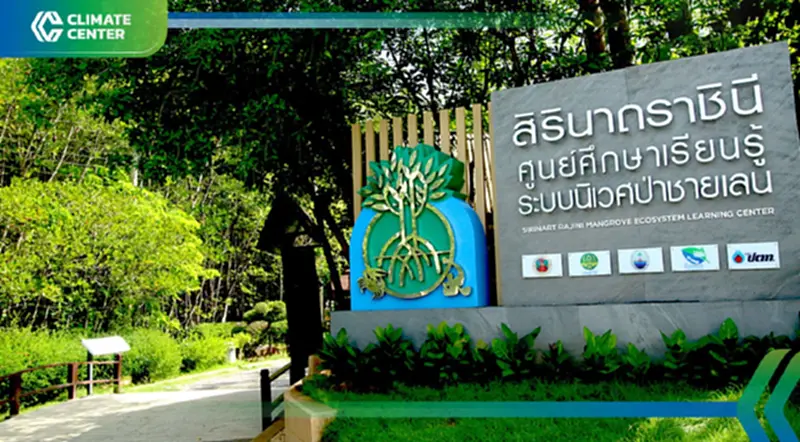 "ศูนย์ฯ สิรินาถราชินี" รับประกาศเกียรติคุณลดโลกร้อน ต่อยอดการพลิกนากุ้งร้างสู่แหล่งเรียนรู้ "ศูนย์ฯ สิรินาถราชินี" รับประกาศเกียรติคุณลดโลกร้อน ต่อยอดการพลิกนากุ้งร้างสู่แหล่งเรียนรู้