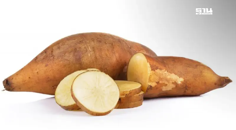 สรรพคุณ บัวหิมะ รัฐบาลจีน มอบ 200 หลอด รักษาอาการบาดเจ็บไฟไหม้รถบัสนักเรียน สรรพคุณ บัวหิมะ รัฐบาลจีน มอบ 200 หลอด รักษาอาการบาดเจ็บไฟไหม้รถบัสนักเรียน