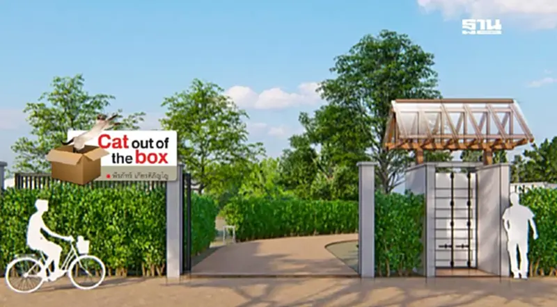 เรือนฮ้านแก้ว The Art-terial Cubicle เรือนฮ้านแก้ว The Art-terial Cubicle