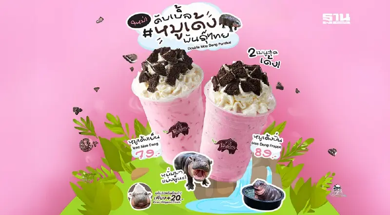 กาแฟพันธุ์ไทย คว้าสิทธิ์หมูเด้ง คลอแลปส์สุดน่ารัก ผุดเมนู 2 เมนูใหม่