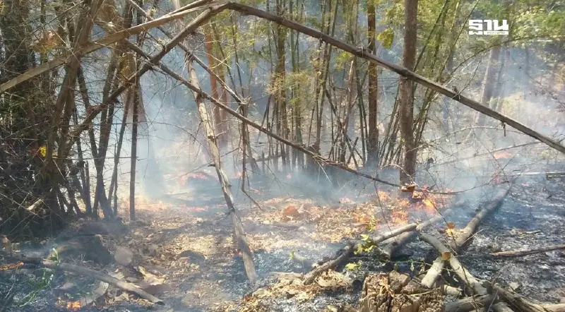 บอร์ดสิ่งแวดล้อมเคาะมาตรการเข้ม คุมไฟป่า หมอกควัน ฝุ่น PM2.5 ปี 68