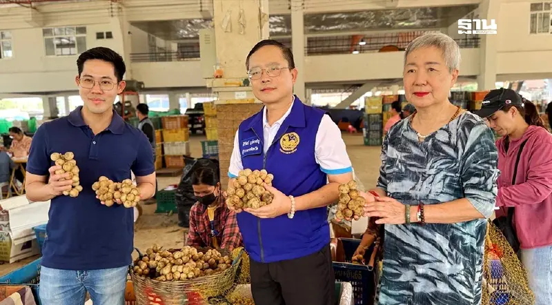 "พาณิชย์" เผย ราคารับซื้อลองกอง 15-17 บาท/กก. เกษตรกรพอใจ