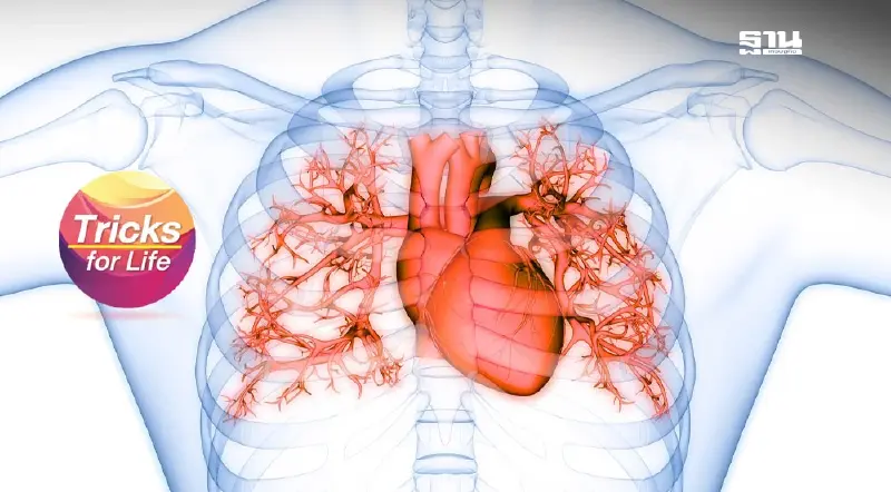 “มะเร็งกล้ามเนื้อหัวใจ” ภัยเงียบที่เกิดโดยไม่รู้ตัว