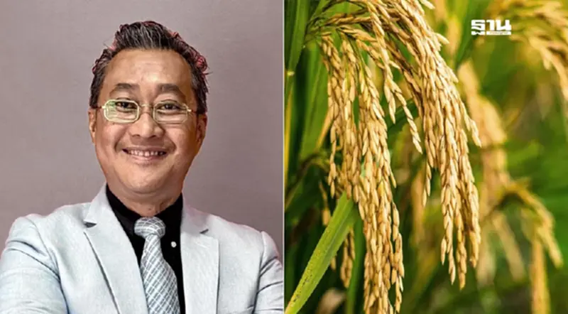 “ข้าวจีน” ไทยต้องเรียนรู้ ลุยหมื่นสายพันธุ์-ผลผลิตสูง จากอดอยากสู่ส่งออก “ข้าวจีน” ไทยต้องเรียนรู้ ลุยหมื่นสายพันธุ์-ผลผลิตสูง จากอดอยากสู่ส่งออก