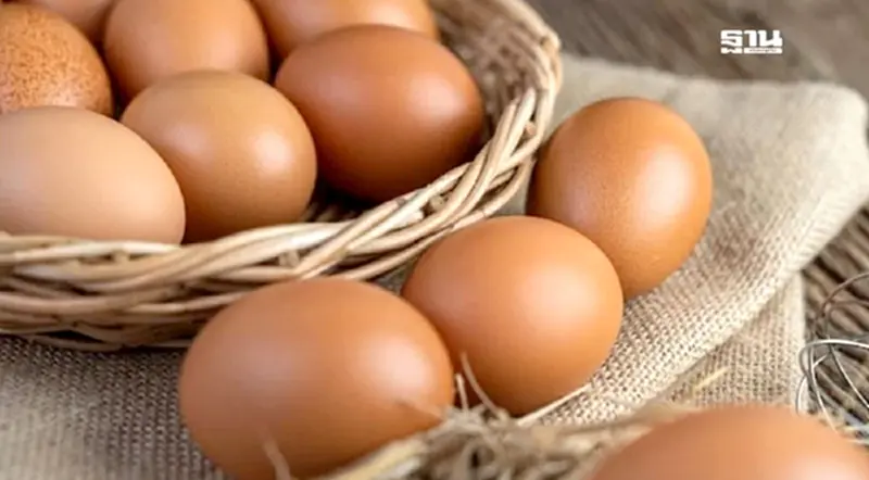 อย่าเพิ่งรีบซื้อ วันพรุ่งนี้ “ไข่ไก่”ปรับลด 20 สตางค์ หรือ 6 บาทต่อแผง อย่าเพิ่งรีบซื้อ วันพรุ่งนี้ “ไข่ไก่”ปรับลด 20 สตางค์ หรือ 6 บาทต่อแผง