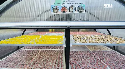 “พลังงาน” หนุนวิสาหกิจชุมชนฟาร์มเห็ดฯชุมพรสร้างรายได้กว่า 1 แสนบาทต่อปี