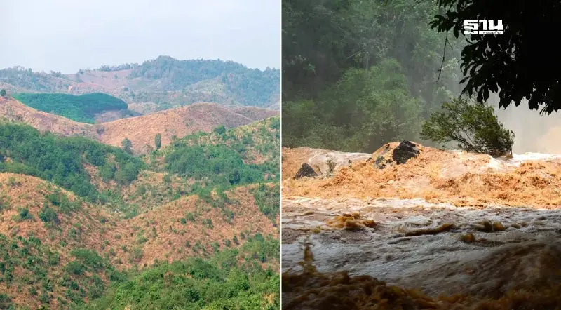 ระบบตรวจสอบย้อนกลับ “หยุดยั้งทำลายป่า” นวัตกรรมช่วยป้องกันน้ำท่วม