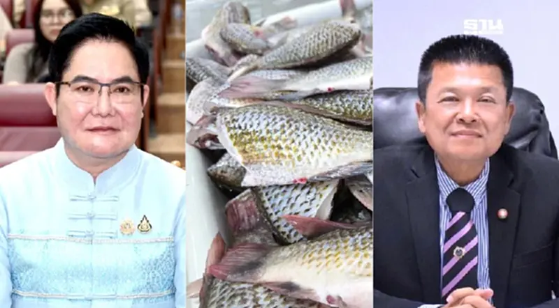 ไล่ล่าปลาหมอคางดำคึก กรมประมง หนุนงบ 4.9 ล้าน ผลิตน้ำปลาร้า ไล่ล่าปลาหมอคางดำคึก กรมประมง หนุนงบ 4.9 ล้าน ผลิตน้ำปลาร้า