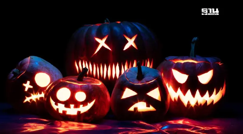 มัดรวมไอเทมของตกแต่ง “วันฮาโลวีน” ยอดฮิต 2567  ในเทศกาลวันผี