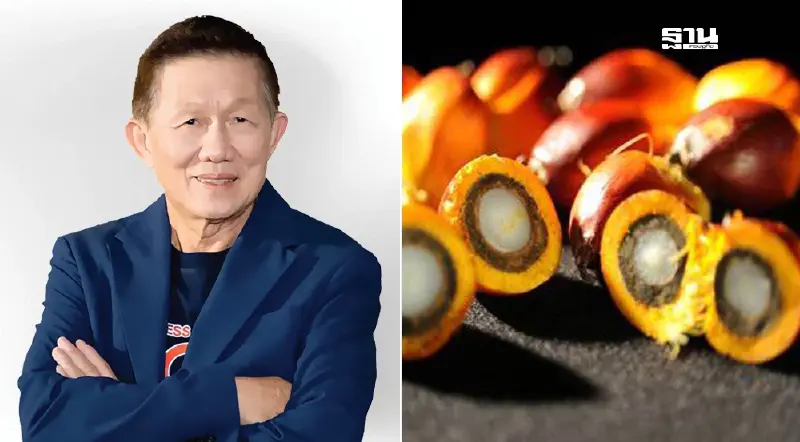 PCE ชูไตรมาส 4/67 ราคาน้ำมันปาล์มดิบยังพุ่งต่อ หนุนยอดขายทั้งปีโต 15%