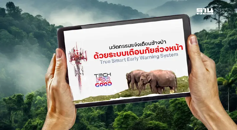 ทรูฯ สานภารกิจ“Tech For Good” ผสาน"5G-AI-กล้องวงจรปิด" แก้ขัดแย้งคน-ช้างป่า ทรูฯ สานภารกิจ“Tech For Good” ผสาน"5G-AI-กล้องวงจรปิด" แก้ขัดแย้งคน-ช้างป่า