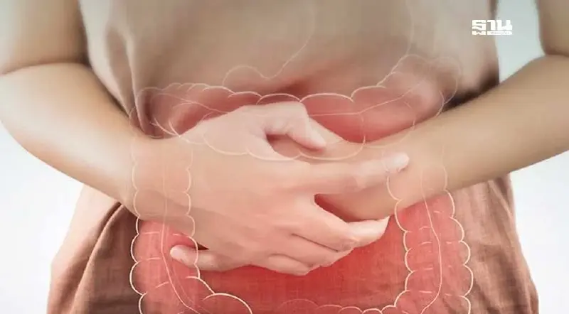 แบคทีเรียในลำไส้ไม่สมดุล เสี่ยงโรคมะเร็ง-ซึมเศร้า