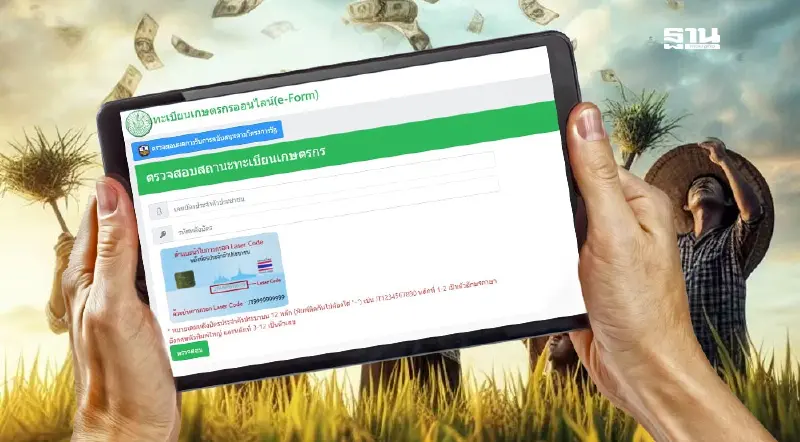 เงินช่วยชาวนา ไร่ละ 1,000 ล่าสุด! เช็คสถานะด่วนด้วยบัตรประชาชน