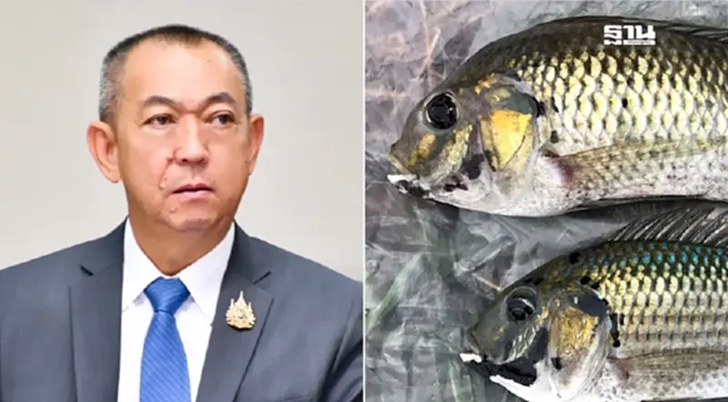“เฉลิมชัย” กำชับ ทส. แก้ปัญหา“ปลาหมอคางดำ”เข้มข้น เร่งแผนควบคุม-กำจัด “เฉลิมชัย” กำชับ ทส. แก้ปัญหา“ปลาหมอคางดำ”เข้มข้น เร่งแผนควบคุม-กำจัด