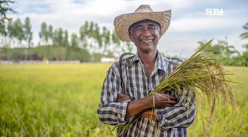 ไร่ละ 1000 ล่าสุด รัฐบาล เตรียมชดเชย 2 สินเชื่อช่วยเหลือชาวนา คลิกอ่านด่วน