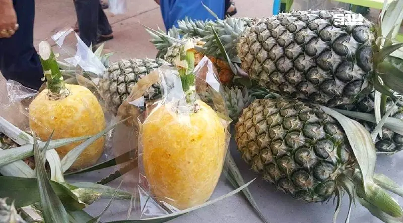 เฮ! ญี่ปุ่นขึ้นทะเบียน GI สับปะรดห้วยมุ่น สร้างเชื่อมั่นคนญี่ปุ่น